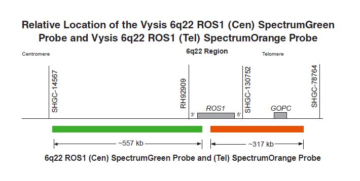 ROS1 break apart